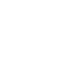 villa realr